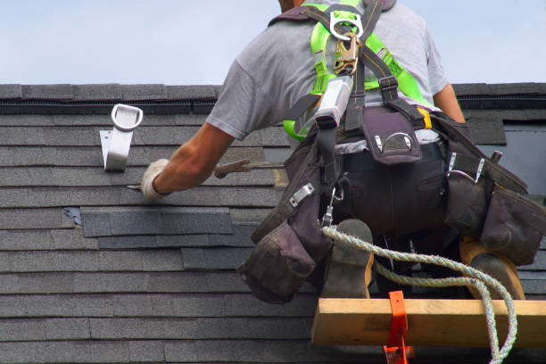 Roof Gutter Cleaning in Wood Dale, IL