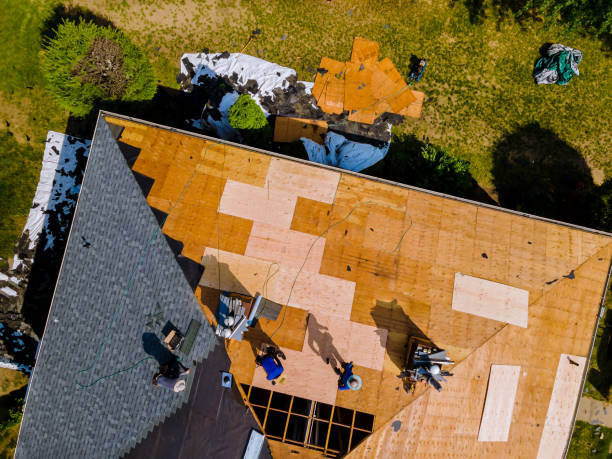 Best Roof Repair Services  in Wood Dale, IL