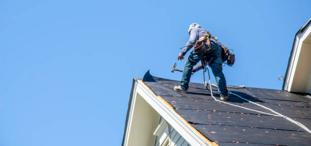 Best Residential Roofing Contractor  in Wood Dale, IL